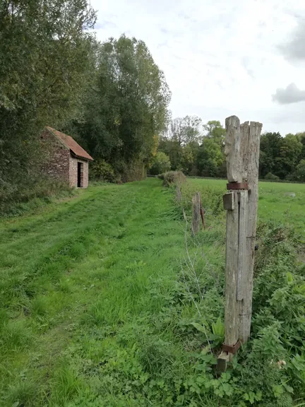 Galgebossen (Poperinge, Elverdinge, Vlamertinge) (Belgie)